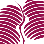 Nierenstiftung