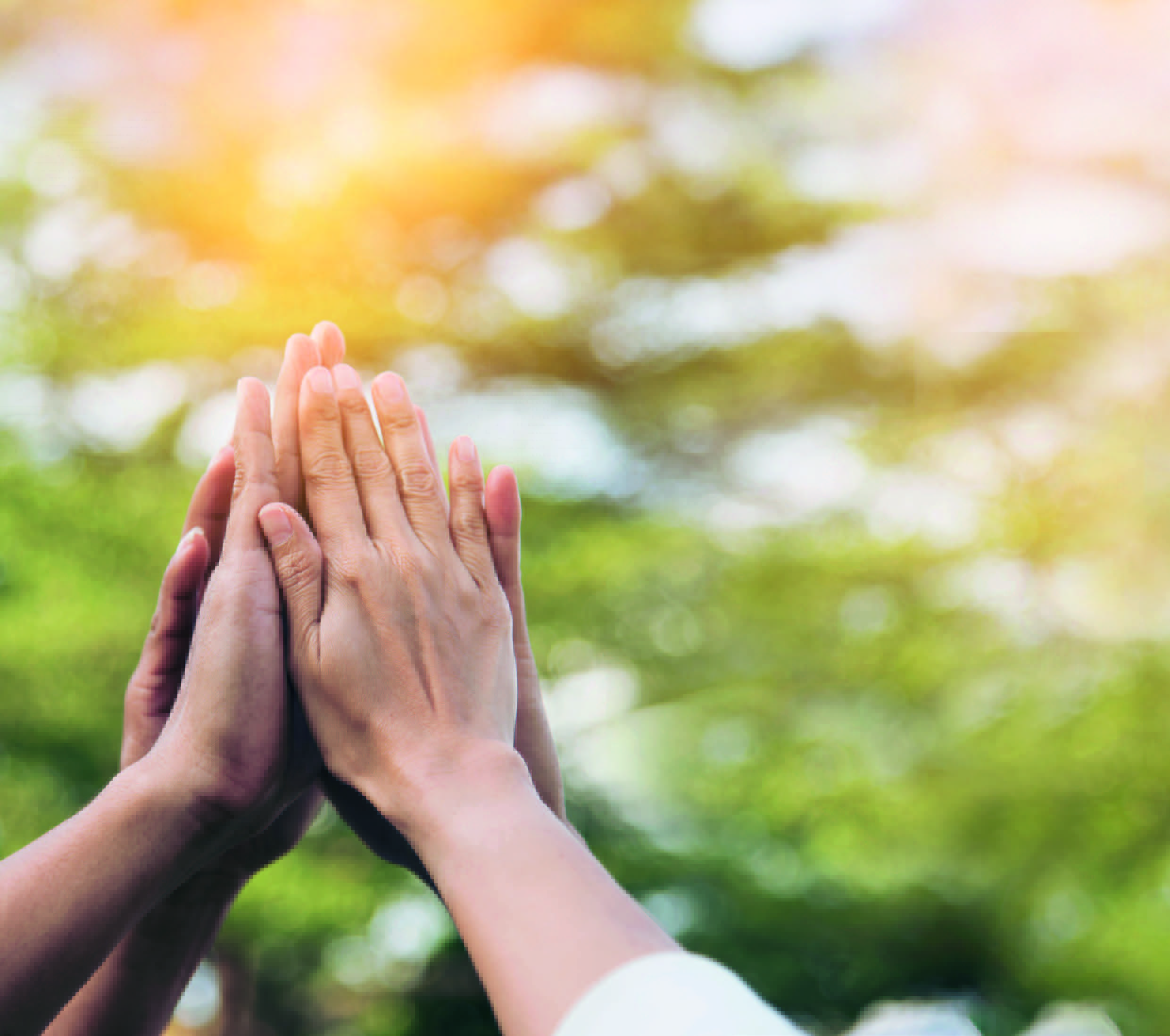 Headerbild für Fundraising Kirche und Wohlfahrt