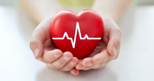 close up of hand with cardiogram on red heart