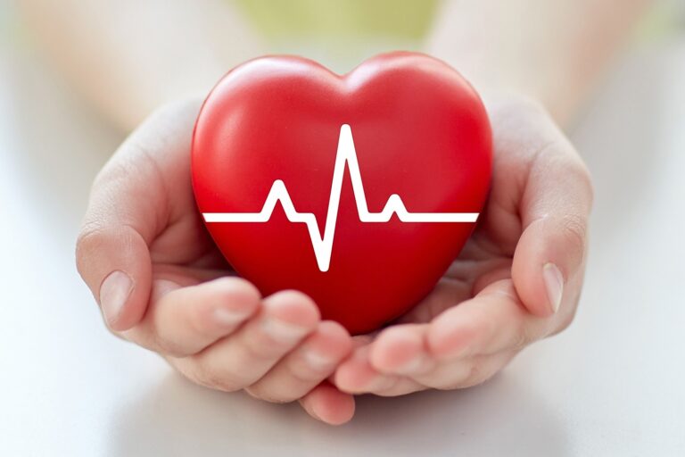 close up of hand with cardiogram on red heart